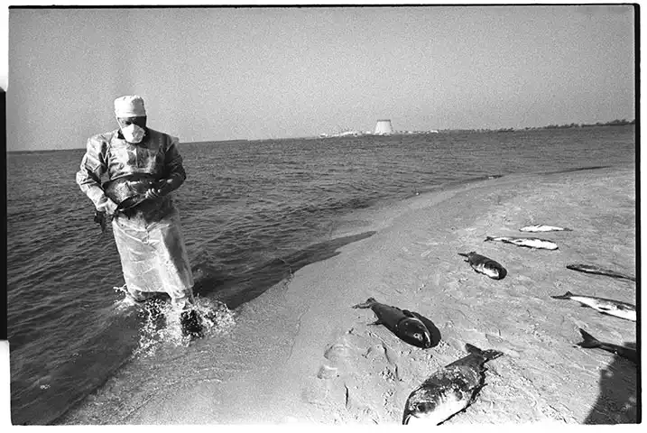 The Chernobyl Disaster: The Tragedy That Changed the World
